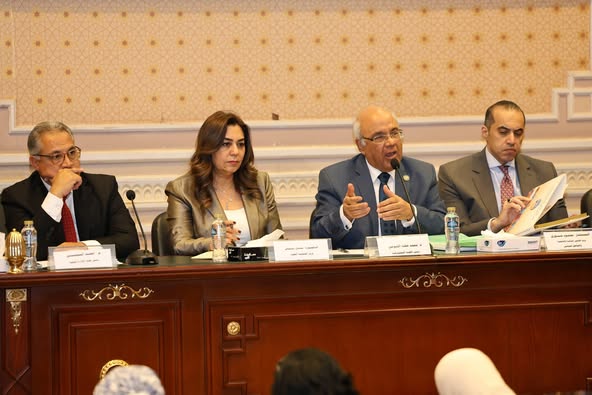 وزيرة التنمية المحلية تشارك في الاجتماع المشترك بين لجنة الإسكان ولجنتي التنمية المحلية والشئون الدستورية بمجلس النواب