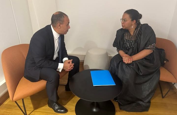 وزير الخارجية والهجرة يلتقى مع وزيرة الخارجية بجمهورية الكونجو الديمقراطية