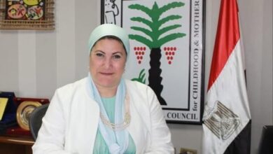 "الطفولة والأمومة" يتدخل لإنقاذ الطفلة المعتدى عليها في واقعة الفيديو المتداول بمنطقة المهندسين