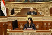 المشاط بدأنا تصحيح المسار الاقتصادي منذ مارس 2024 بسياسات وإجراءات متكاملة