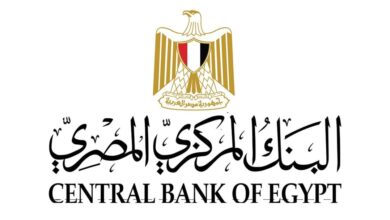 تحويلات المصـريين العاملين بالخارج تسجل قفزة تاريخية إلى 32.6 مليار دولار