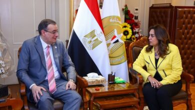 د. منال عوض تبحث مع رئيس الجهاز المركزي للتنظيم والإدارة مجالات التعاون بين الجانبين