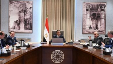 رئيس الوزراء يستعرض خطة توفير المنتجات البترولية لتشغيل محطات الكهرباء استعدادًا للصيف المُقبل