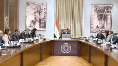 رئيس الوزراء يتابع أعمال اللجنة الخاصة بحوكمة الاستثمارات العامة بالدولة
