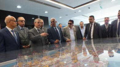 رئيس مصلحة الجمارك.. فى جولة ميدانية بميناءي الإسكندرية والدخيلة