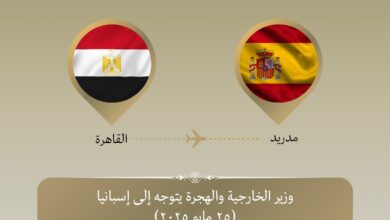 وزير الخارجية والهجرة يتوجه إلى مدريد للمشاركة في الاجتماع الوزاري الموسع لمجموعة مدريد بشأن القضية الفلسطينية