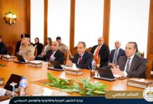 وزير الشئون النيابية يشارك بالاجتماع الوزاري الرابع للجنة العليا الدائمة لحقوق الإنسان