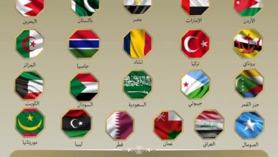 بيان مشترك بين وزير الخارجية والهجرة مع نظرائه من الدول المختلفة