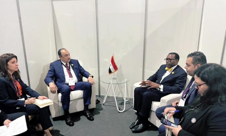 شيمي يلتقي رئيس مجموعة البنك الأفريقي للتنمية على هامش قمة لوندا