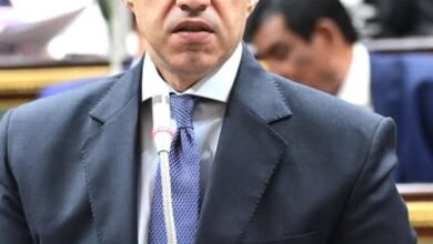 فوزي يحضر جلسة النواب بشأن إصدار قانون تنظيم بعض الأحكام المتعلقة بملكية الدولة في الشركات المملوكة لها أو التي تساهم فيها