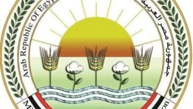 "الزراعة" تنتهي من فحص تقاوي البطاطس لـ "العروة الشتوية التصديرية" بالكامل.. بكمية تتجاوز 320 ألف طن