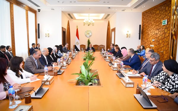 وزير الخارجية والهجرة يتابع جهود الوزارة في رعاية المواطنين المصريين بالخارج