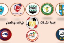 الدوري المصري.. من مدرجات الجماهير إلى مكاتب الشركات.. من يُنقذ الأندية الشعبية؟