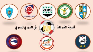 الدوري المصري.. من مدرجات الجماهير إلى مكاتب الشركات.. من يُنقذ الأندية الشعبية؟