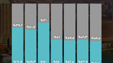 الاستثمارات الخاصة تستحوذ على 62.8% من إجمالي الاستثمارات في الربع الثالث من العام المالي 2024/2025