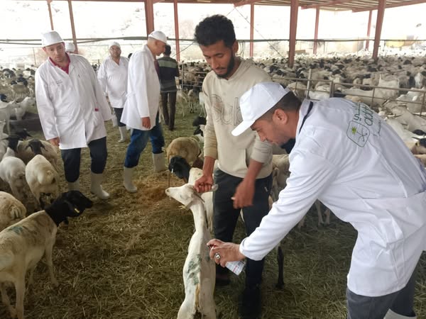وزير الزراعة يتابع أعمال البعثة البيطرية المصرية للإشراف على الهدي والأضاحي بالمملكة العربية السعودية