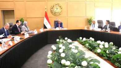 عصمت يبحث مع وفد المفوضية الأوروبية سبل دعم وتعزيز الشراكة والتعاون في مجالات الكهرباء والطاقة المتجددة