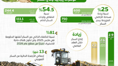 المركز الإعلامي لمجلس الوزراء مصر على أعتاب الاكتفاء الذاتي من السكر