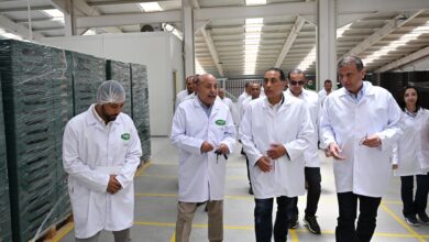 رئيس الوزراء يتفقد شركة مغربي الزراعية مافا