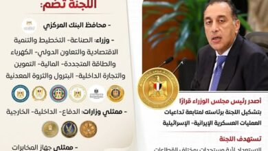 رئيس الوزراء يصدر قراراً بتشكيل لجنة أزمات برئاسته