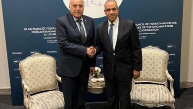 لقاء على هامش اجتماع مجلس وزراء خارجية منظمة التعاون الإسلامي في أسطنبول بين وزير الخارجية ونظيره الجزائري