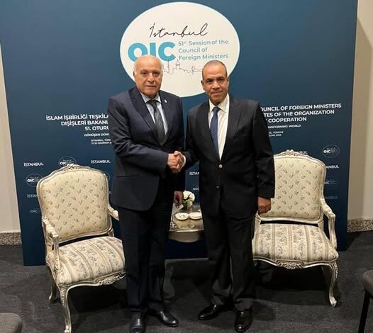 لقاء على هامش اجتماع مجلس وزراء خارجية منظمة التعاون الإسلامي في أسطنبول بين وزير الخارجية ونظيره الجزائري