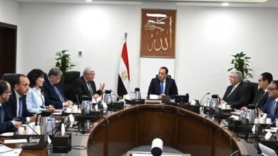 مدبولي يستعرض النتائج الخاصة بالتعاون بين جامعة أكسفورد ومستشفى 500500 لتطوير العلاج الجيني للسرطان