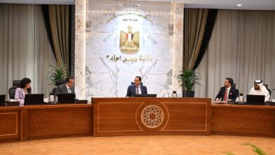 مدبولي يستعرض مع رئيس مؤسسة برجيل القابضة أوجه التعاون الممكنة في مجال زرع النخاع