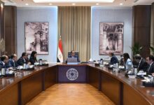 مدبولي يناقش خطة العمل لإجراء التعداد العام للسكان والإسكان والمنشآت 2027