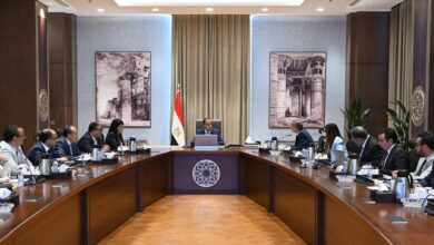 مدبولي يناقش خطة العمل لإجراء التعداد العام للسكان والإسكان والمنشآت 2027