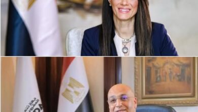 منظمة التعاون والتنمية الاقتصادية OECD تُطلق تقريرها حول سياسات المشروعات الصغيرة والمتوسطة