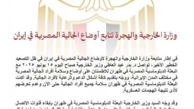 وزارة الخارجية والهجرة تتابع أوضاع الجالية المصرية في إيران