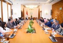 وزير الخارجية والهجرة يتابع جهود الوزارة في رعاية المواطنين المصريين بالخارج