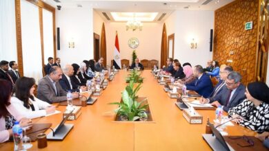 وزير الخارجية والهجرة يتابع جهود الوزارة في رعاية المواطنين المصريين بالخارج