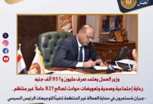 وزير العمل يعتمد صرف مليون و957 ألف جنيه رعاية اجتماعية وصحية وتعويضات حوادث