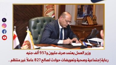 وزير العمل يعتمد صرف مليون و957 ألف جنيه رعاية اجتماعية وصحية وتعويضات حوادث