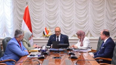 وزير العمل يوجه أعضاء مكاتب التمثيل بالخارج بالتواصل مع الشركات