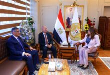 وزيرة التنمية المحلية تتابع مع محافظي القاهرة والجيزة المشروعات التنموية والخدمية على أرض المحافظتين