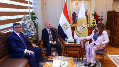 وزيرة التنمية المحلية تتابع مع محافظي القاهرة والجيزة المشروعات التنموية والخدمية على أرض المحافظتين