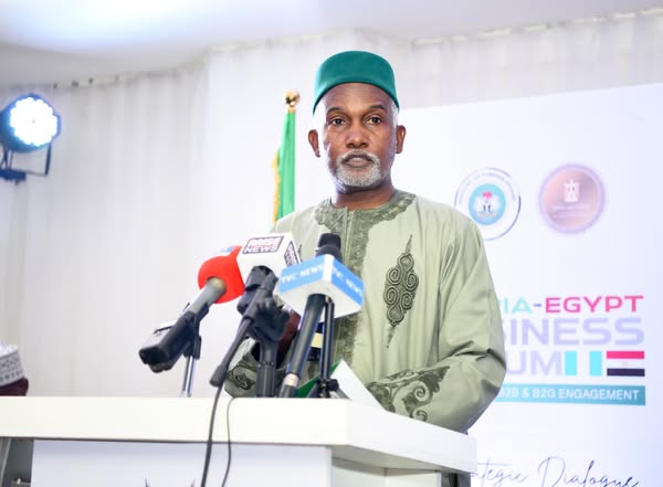 وزير الخارجية النيجيرى يعلن رسميا دعم بلاده لترشيح الدكتور خالد العنانى لمنصب مدير عام اليونسكو