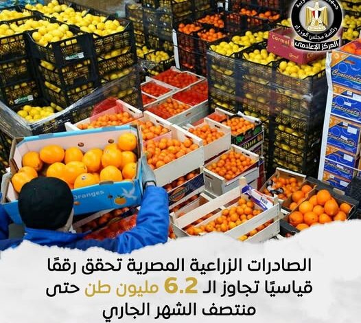 الصادرات الزراعية المصرية تحقق رقمًا قياسيًا تجاوز الـ 6.2 مليون طن حتى منتصف يوليو الجاري