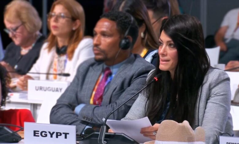 المشاط تلقي كلمة جمهورية مصر العربية بالمائدة المستديرة حول تعزيز التعاون الدولي للتنمية