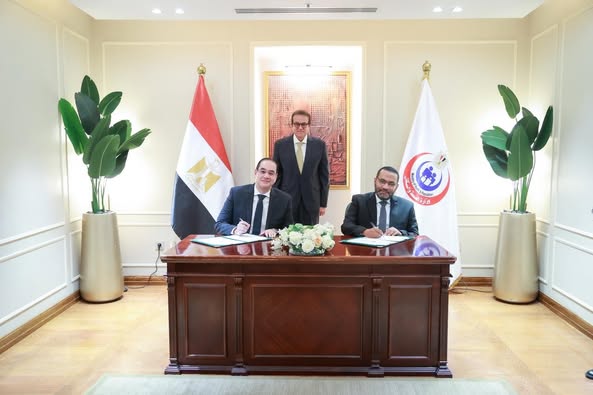توقيع مذكرة تفاهم بين وزارة الصحة وشركة بورينجر إنجلهايم لتطوير التعامل مع السكتات الدماغية