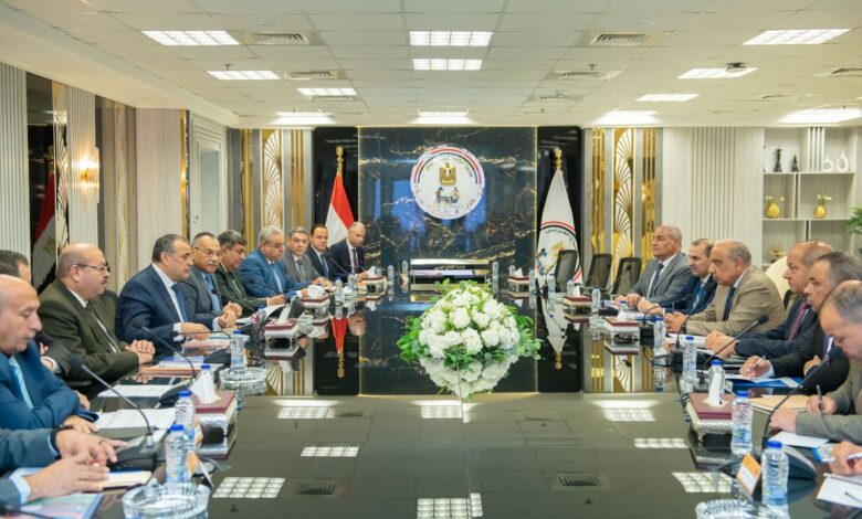 وزيرا الإنتاج الحربي والكهرباء يبحثان التدبير الموحد لاحتياجات شركات الكهرباء