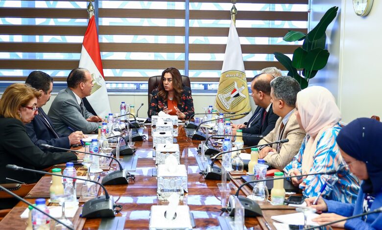 وزيرة التنمية المحلية تتابع الموقف التنفيذى لتطبيق الهوية البصرية في جميع المحافظات