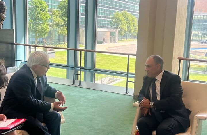 وزير الخارجية والهجرة يجتمع مع نائب وزير الخارجية الروسي