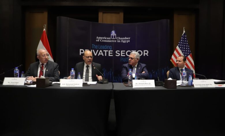 وزير العمل يفتتح ورشة عمل للتوعية بقانون العمل الجديد