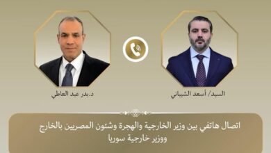 اتصال هاتفي بين وزير الخارجية والهجرة ونظيره السوري