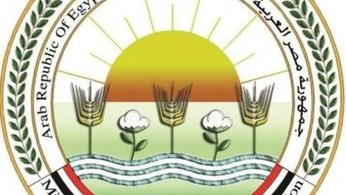 "الزراعة" تطلق أعمال الحملة القومية لتحصين الماشية ضد مرضي الحمى القلاعية والوادي المتصدع على مستوى الجمهورية