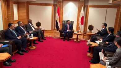 وزير الاستثمار والتجارة الخارجية يلتقي عدد من كبرى الشركات اليابانية